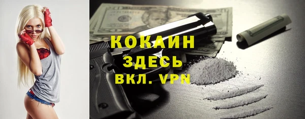 МДПВ Лиски