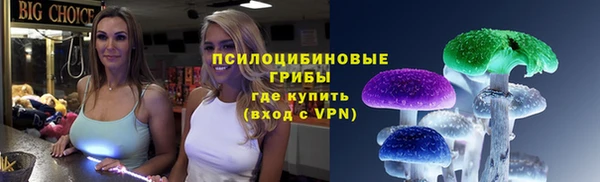 МДПВ Лиски