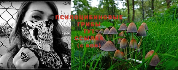 дурь Лихославль
