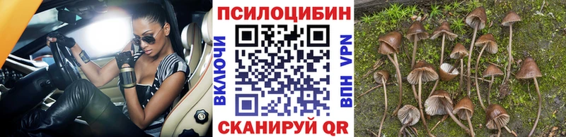 Галлюциногенные грибы ЛСД  мега ссылка  Юрьевец 
