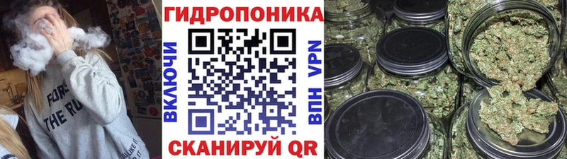 Бошки Шишки ГИДРОПОН Юрьевец